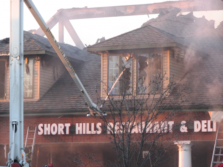 Short Hills Fire