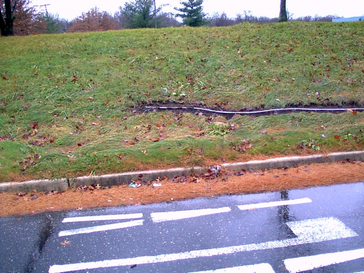 Wires on Woodcrest Road