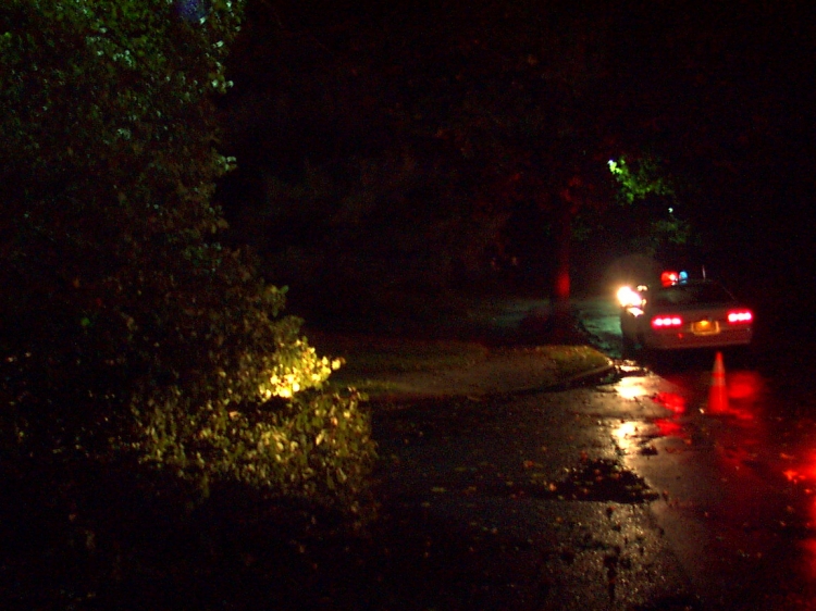 Wires on Gatewood Drive