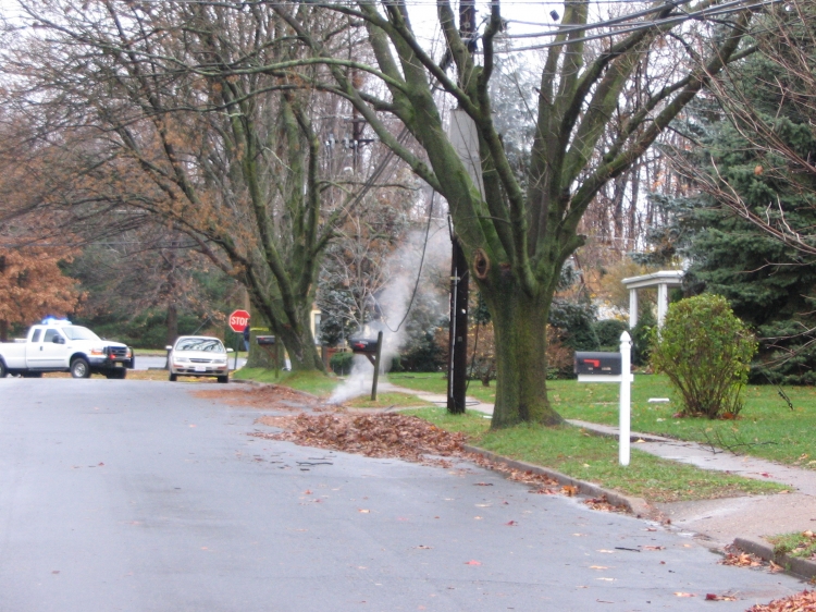 Wires on Cooperlanding Road