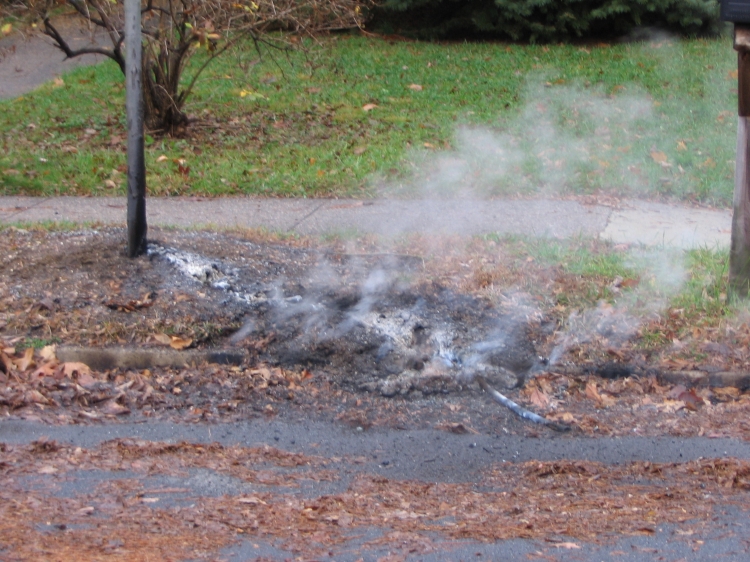 Wires on Cooperlanding Road