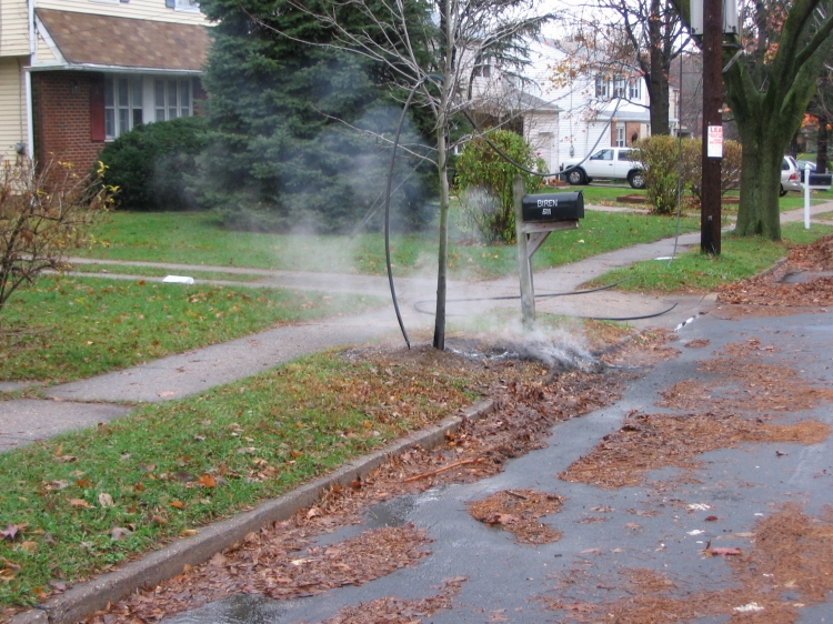 Wires on Cooperlanding Road