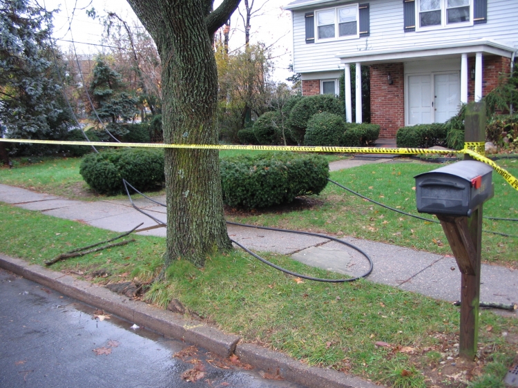 Wires on Cooperlanding Road