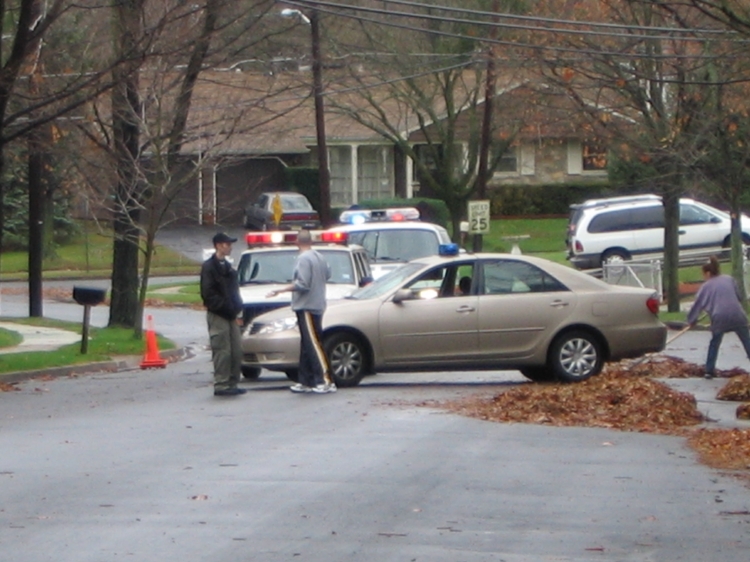 Wires on Cooperlanding Road