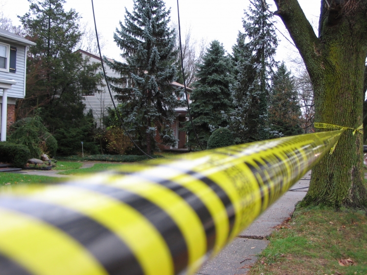 Wires on Cooperlanding Road