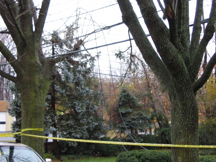 Wires on Cooperlanding Road