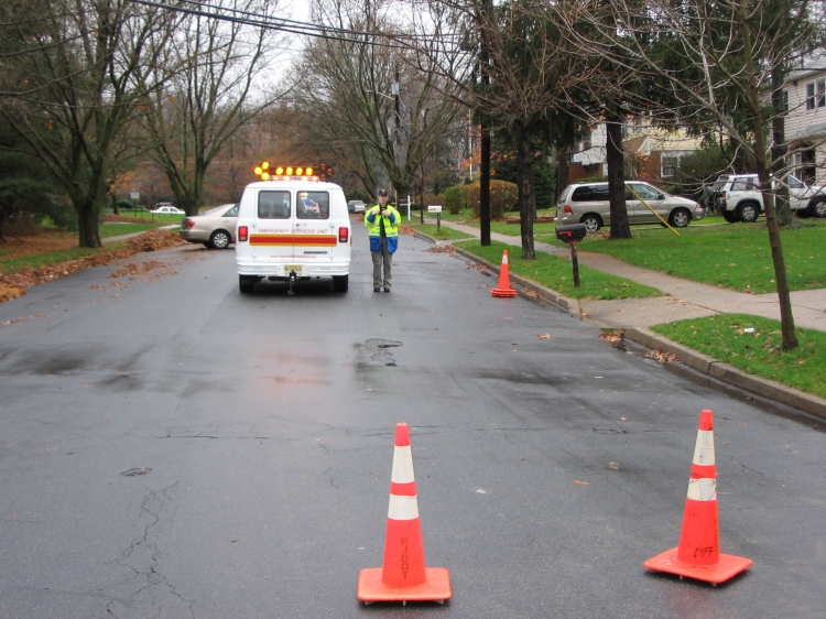 Wires on Cooperlanding Road