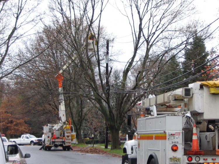 Wires on Cooperlanding Road