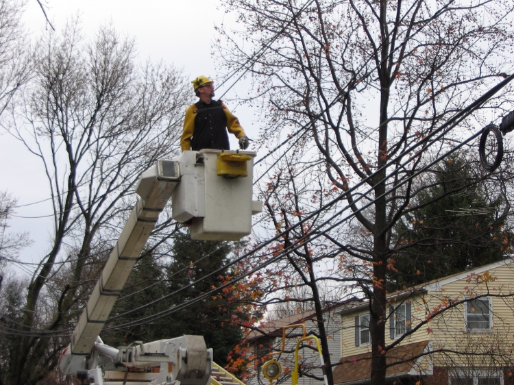 Wires on Cooperlanding Road