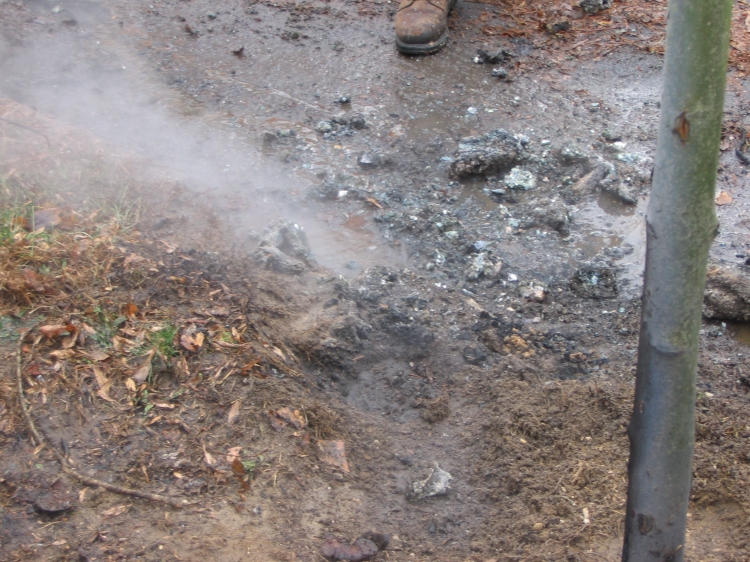Wires on Cooperlanding Road