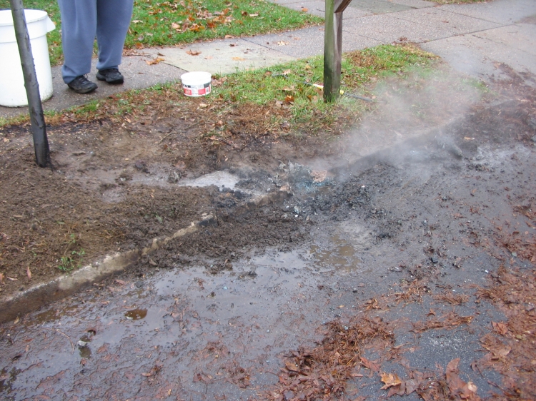 Wires on Cooperlanding Road