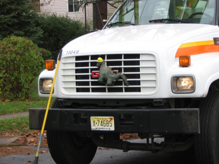Wires on Cooperlanding Road