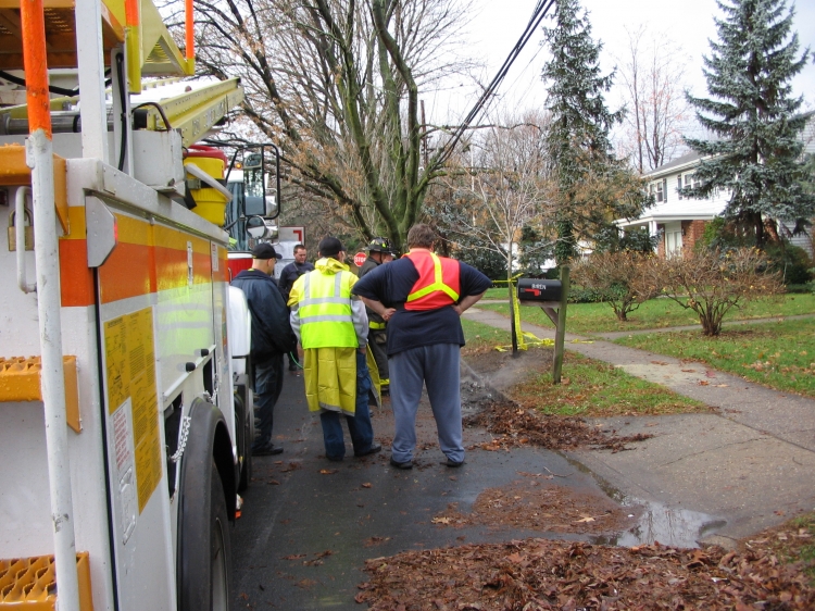 Wires on Cooperlanding Road