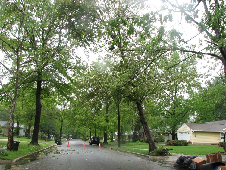 Yardley Drive