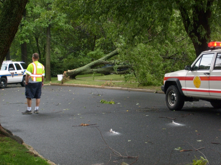 Wires & Tree Down on Old Towne