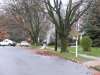 Wires on Cooperlanding Road