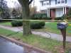 Wires on Cooperlanding Road