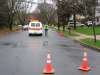 Wires on Cooperlanding Road