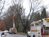 Wires on Cooperlanding Road