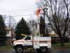Wires on Cooperlanding Road