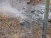 Wires on Cooperlanding Road