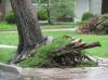Yardley Drive