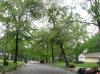 Yardley Drive