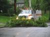 Birch Drive