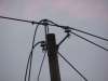 Wires on Park & Kings
