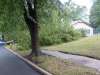 Tree & Wires down on Old Towne Road