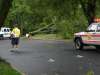 Wires & Tree Down on Old Towne